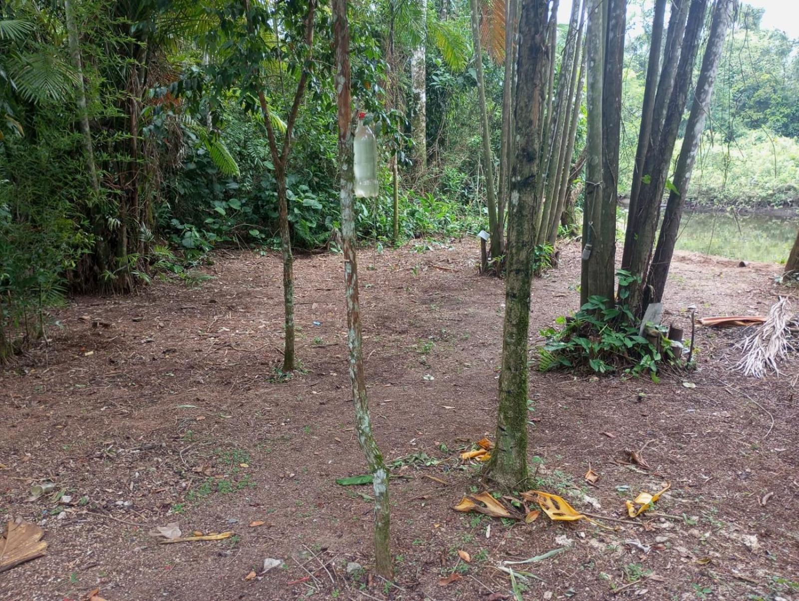 Camping Monte Hermom Ubatuba Eksteriør billede